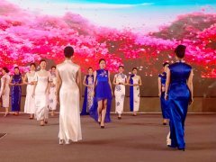 重慶第五屆職業教育活動周啟動，茶藝、扎染、3D打印與禮儀文化共展職教風采